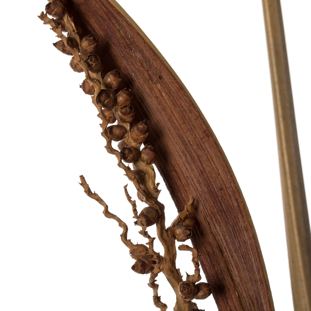 Vickerman 36" Bahia Spears with Seeds, Dried 18 Pack