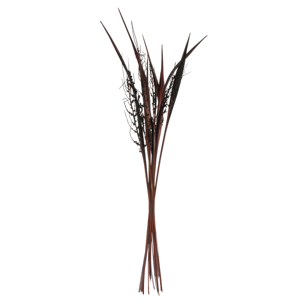 Vickerman 36" Bahia Spears with Seeds, Dried 9 Pack