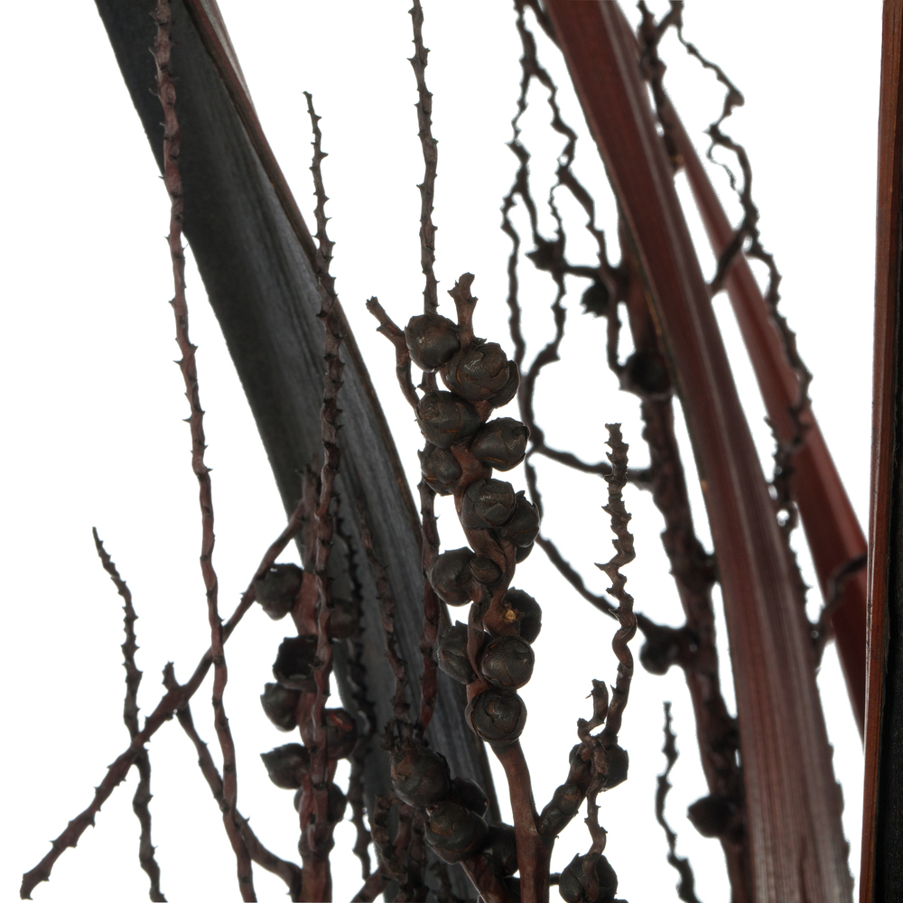 Vickerman 36" Bahia Spears with Seeds, Dried 9 Pack
