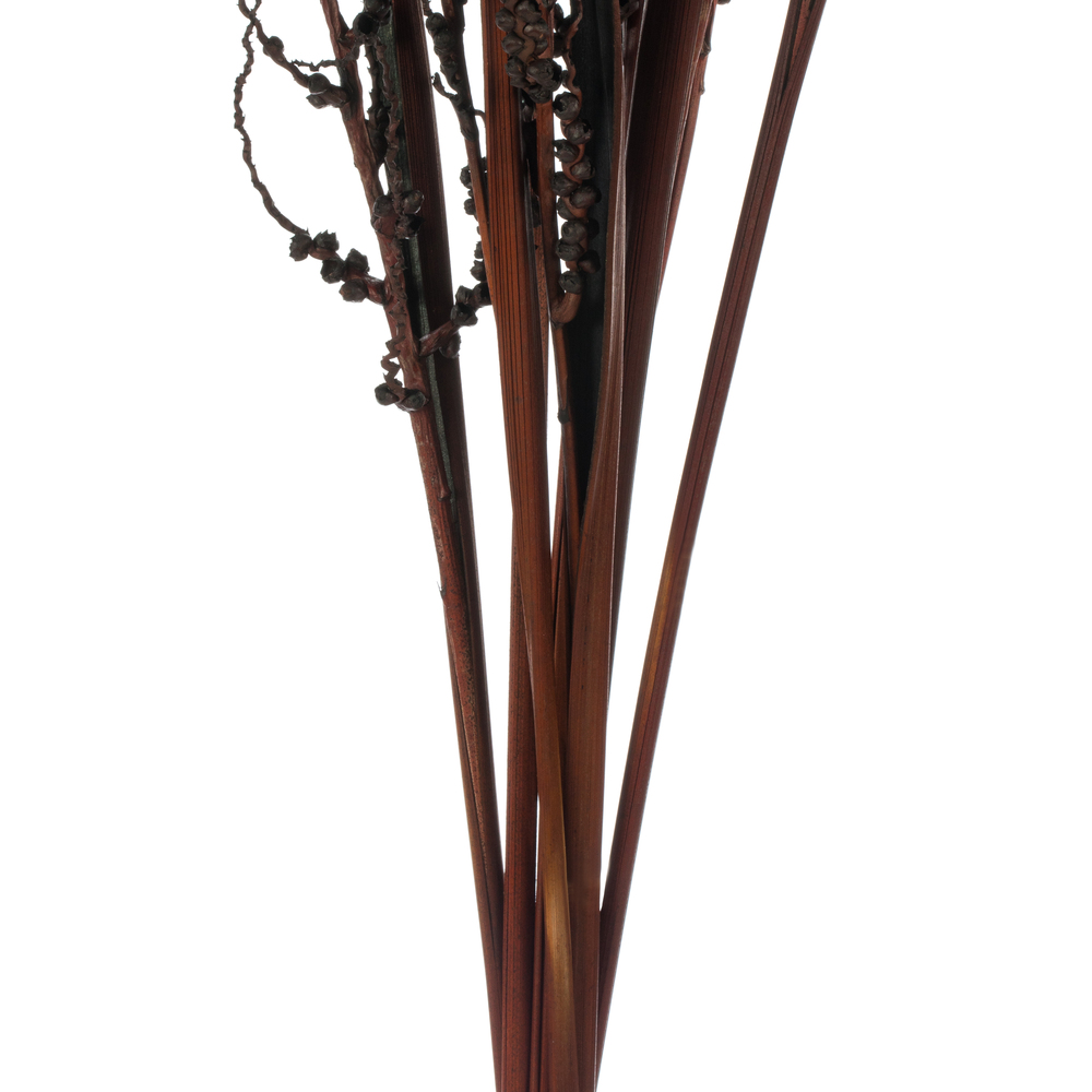 Vickerman 36" Bahia Spears with Seeds, Dried 9 Pack