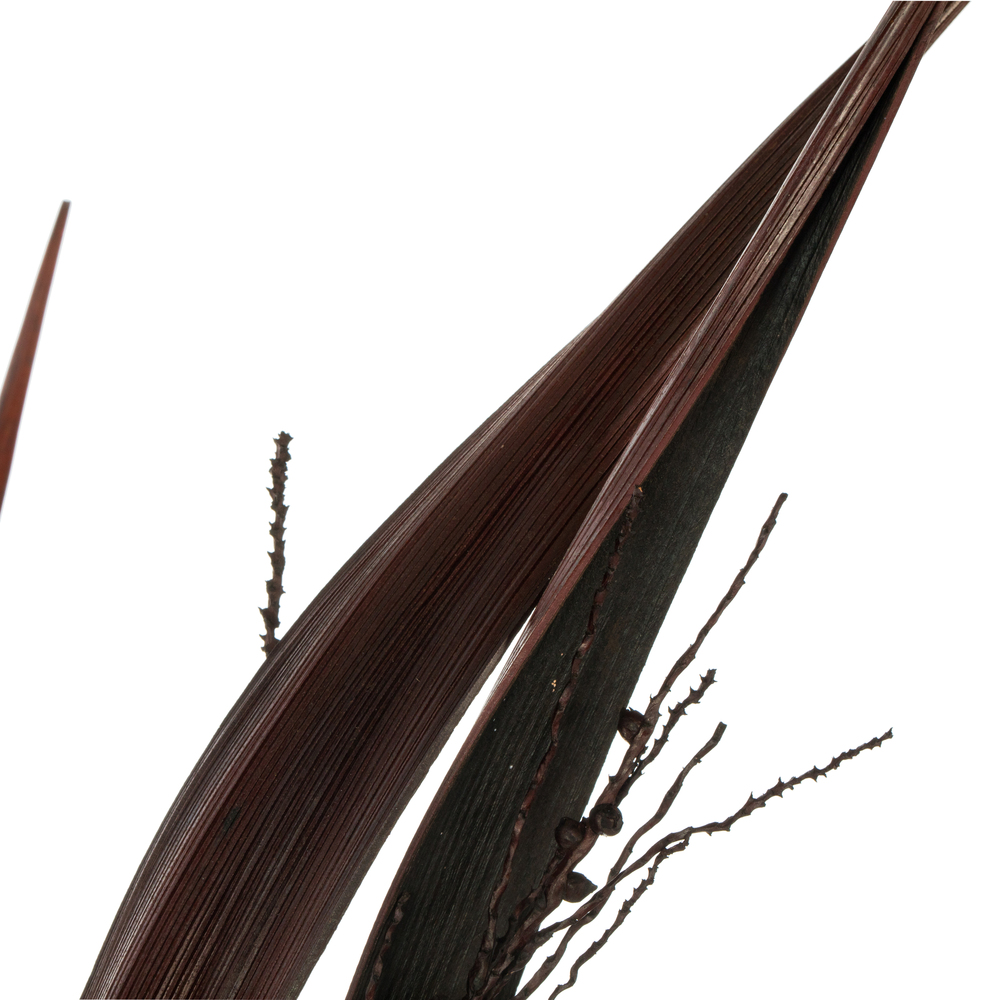 Vickerman 36" Bahia Spears with Seeds, Dried 9 Pack