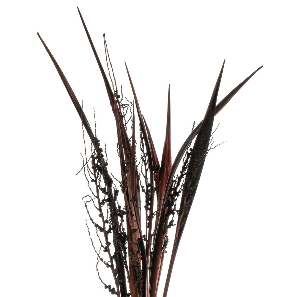 Vickerman 36" Bahia Spears with Seeds, Dried 9 Pack
