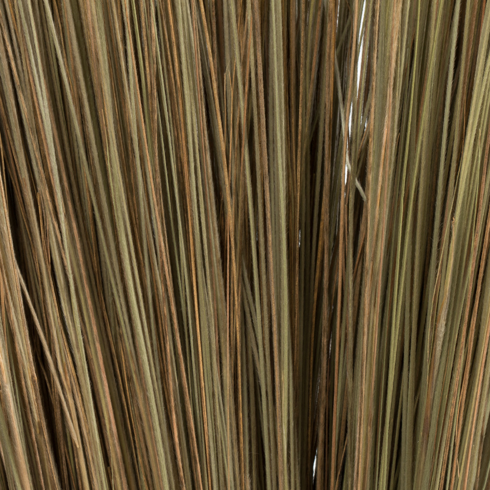 Vickerman 35"-40" Bright Grass Bundle, Dried