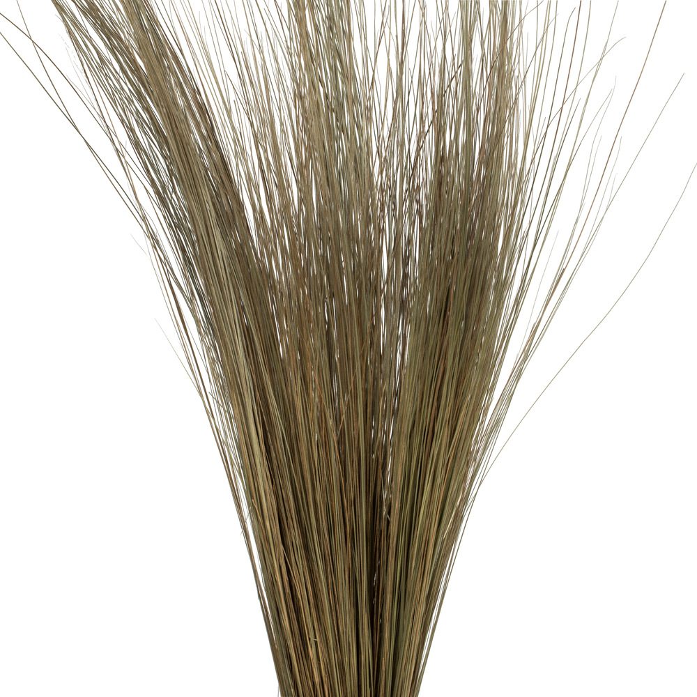 Vickerman 35"-40" Bright Grass Bundle, Dried