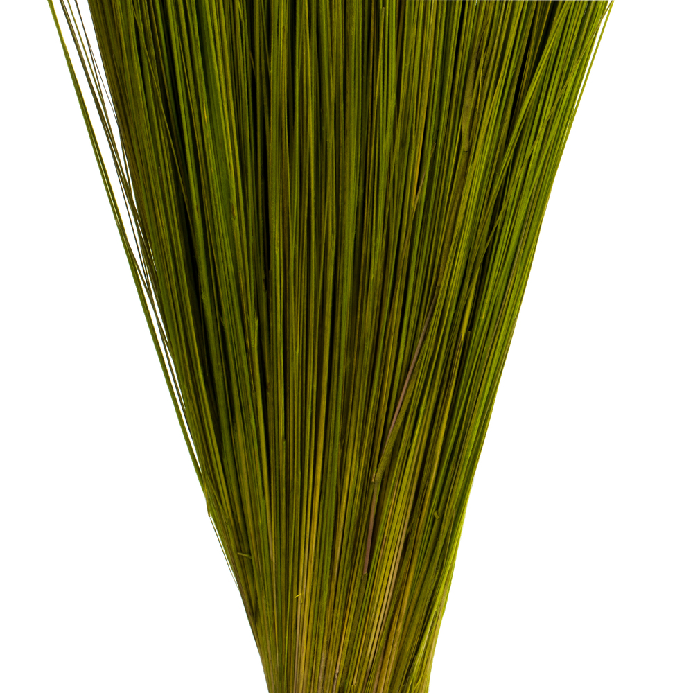 Vickerman Bright Grass, Dried