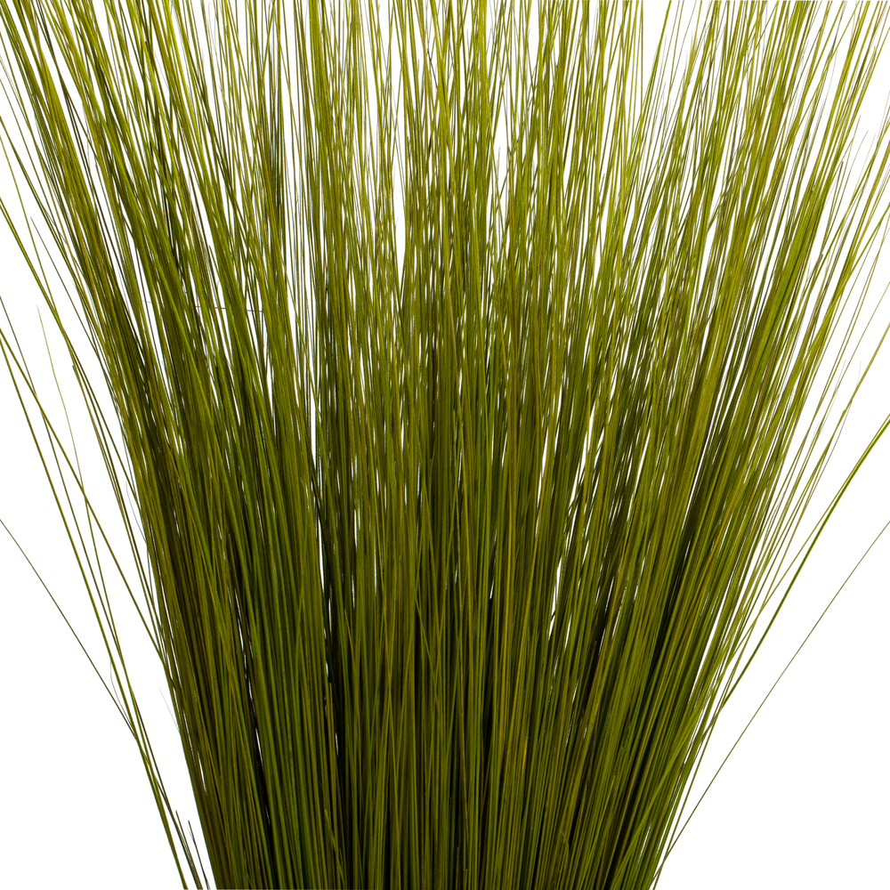 Vickerman Bright Grass, Dried