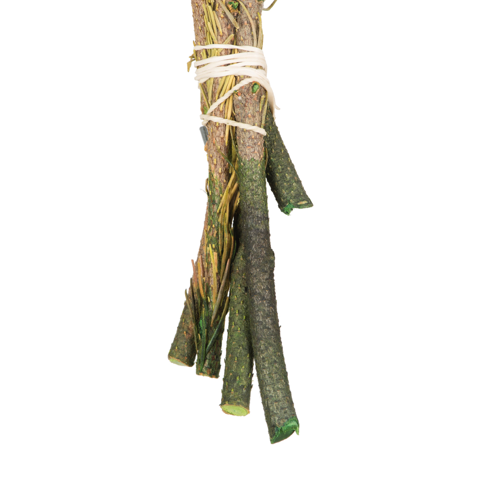 Vickerman Brunia Stem Bundle, Preserved