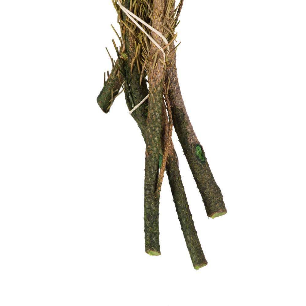 Vickerman Brunia Stem Bundle, Preserved