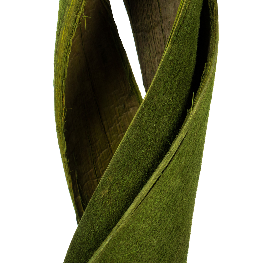 45-48" Curled Basil Coco Velvet Stems