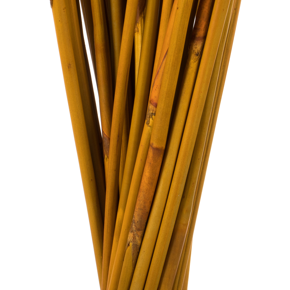 Vickerman 40" Elephant Reed, Dried