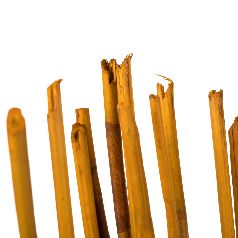 Vickerman 40" Elephant Reed, Dried
