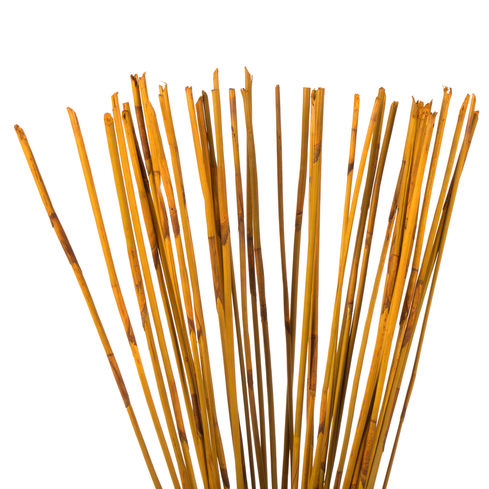 Vickerman 40" Elephant Reed, Dried