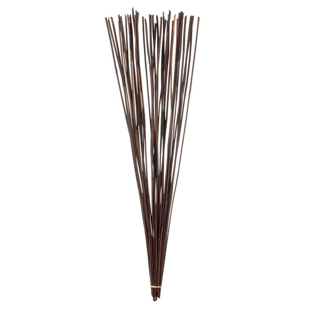Vickerman 40" Elephant Reed, Dried