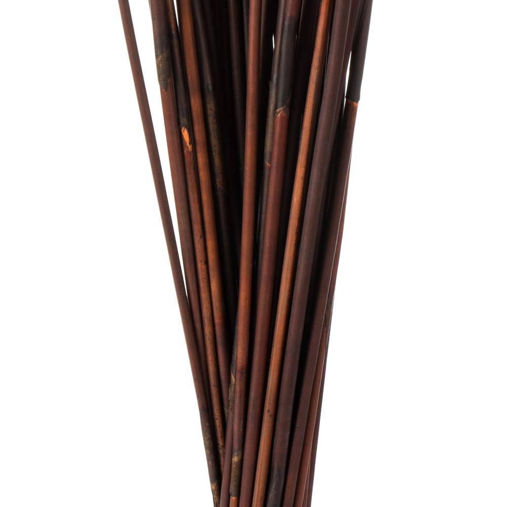 Vickerman 40" Elephant Reed, Dried