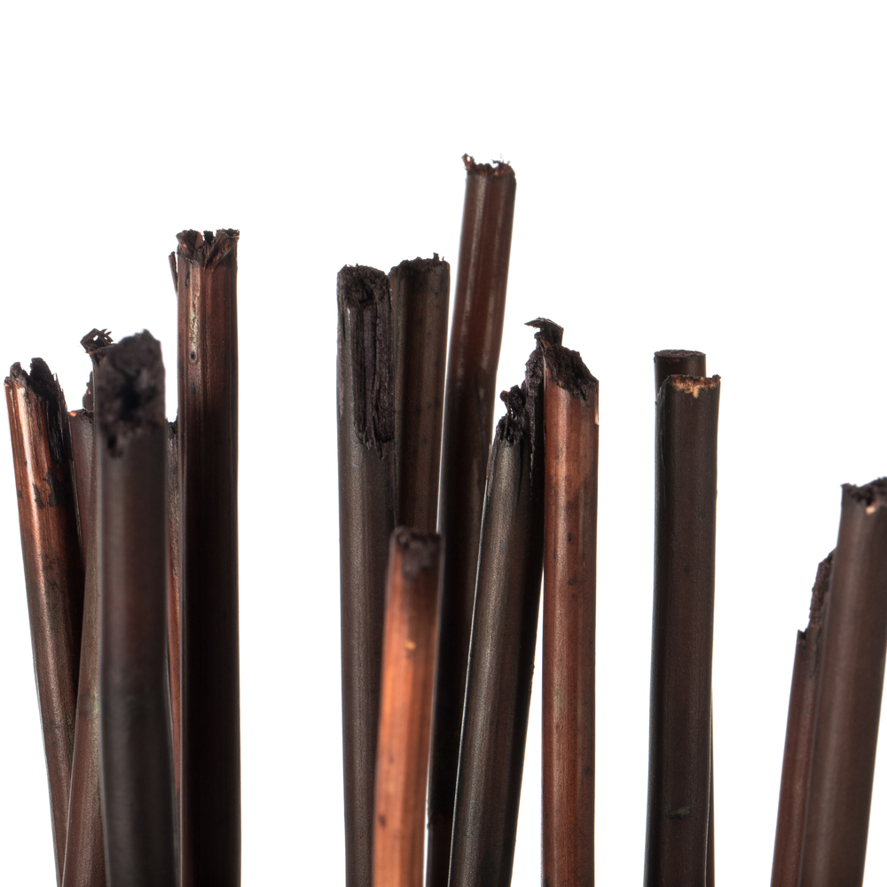 Vickerman 40" Elephant Reed, Dried