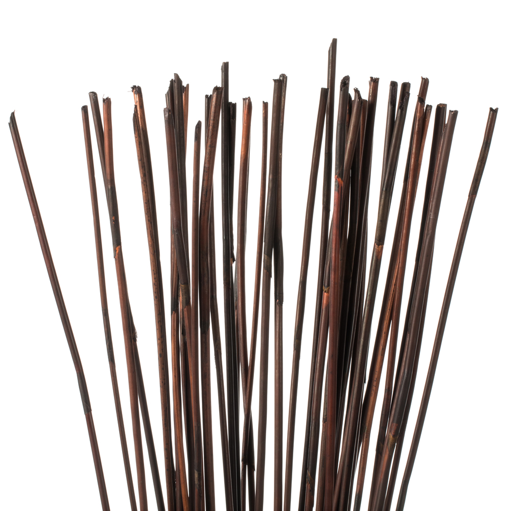 Vickerman 40" Elephant Reed, Dried