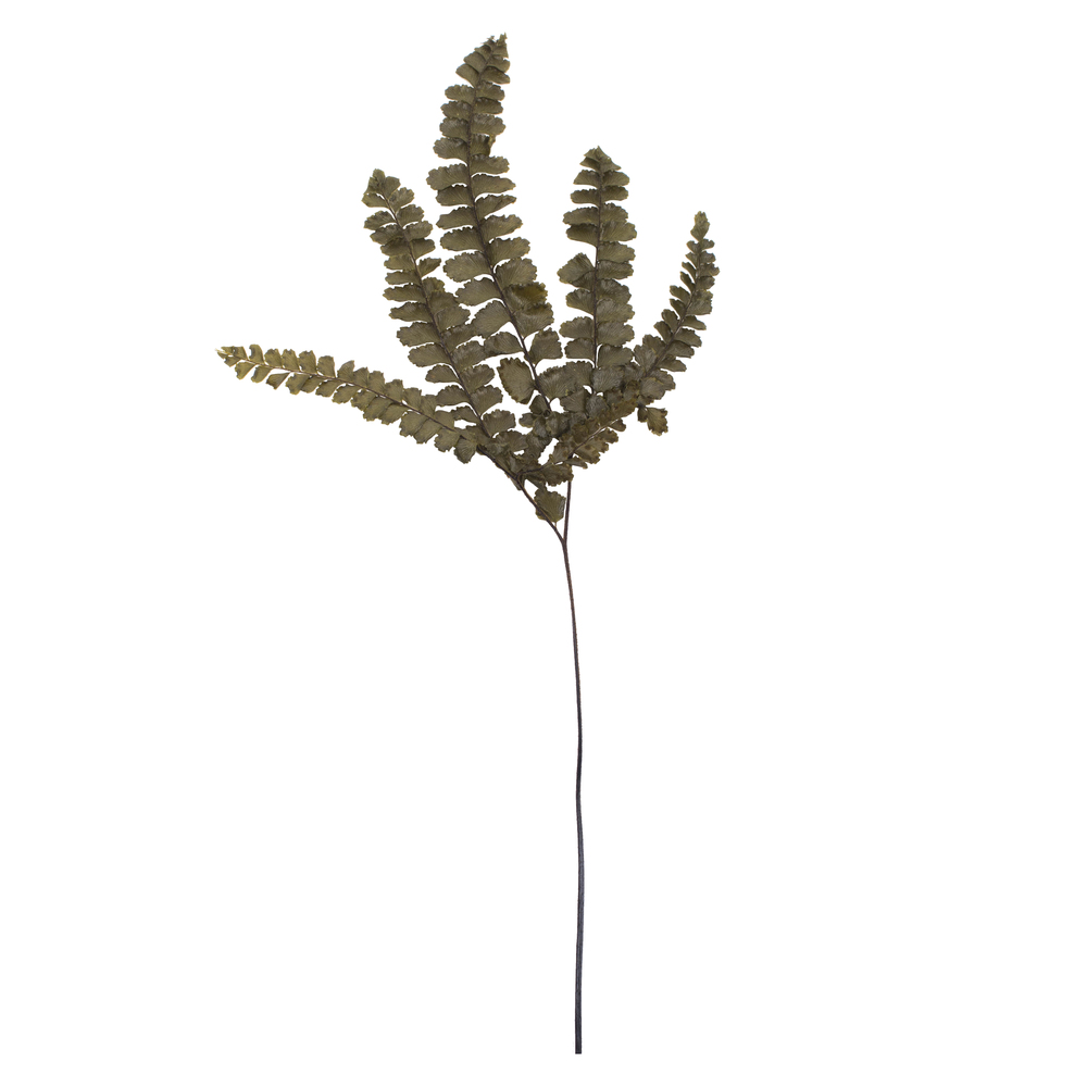 6-10" Green Felci Fern Stem - 6/pk