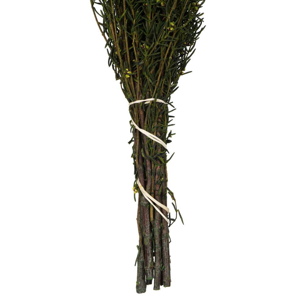 Vickerman 22"-26" Grabia Bundle, Preserved