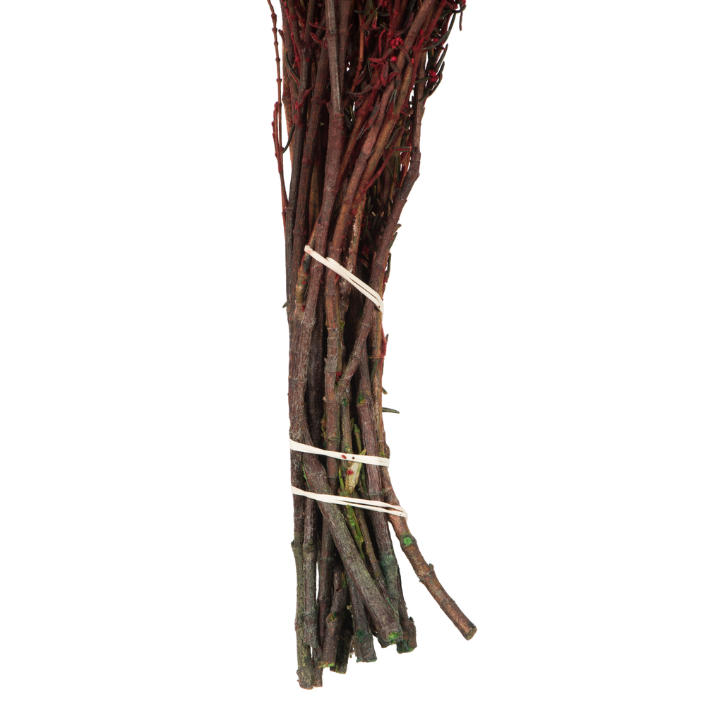 Vickerman 22"-26" Grabia Bundle, Preserved