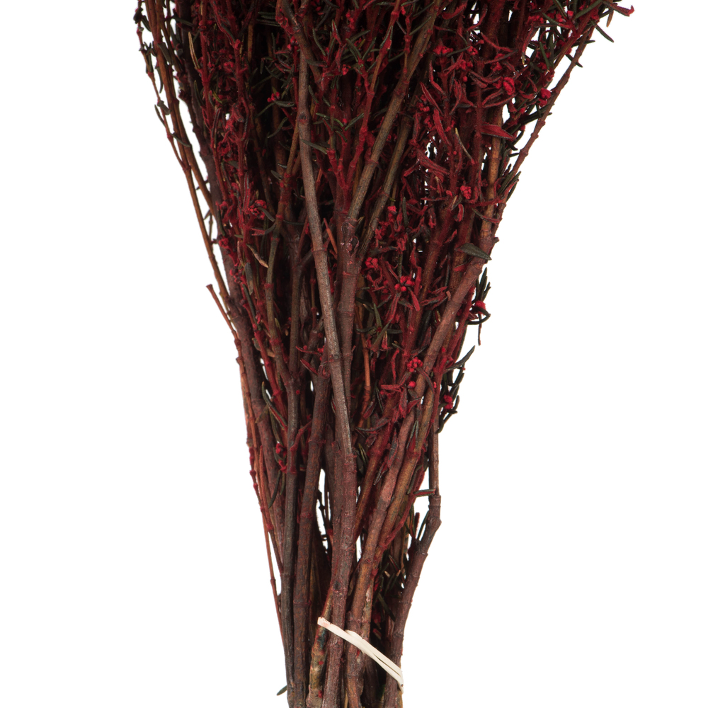 Vickerman 22"-26" Grabia Bundle, Preserved