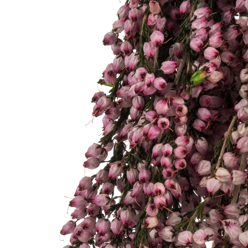 Vickerman 18-20" Heather Bundle, Preserved