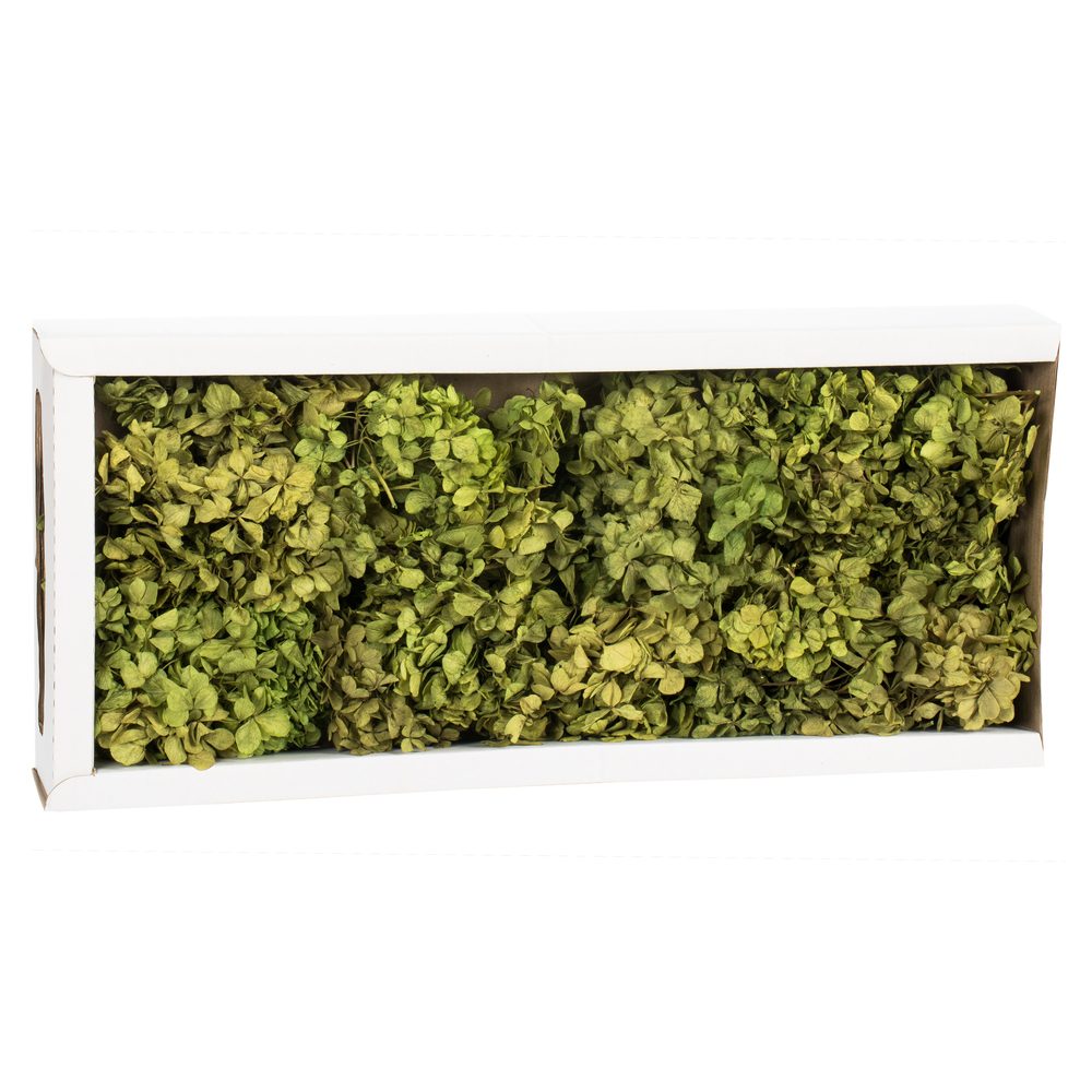 Vickerman 10 x 3 x 21" Tray of Hydrangea Pieces, Preserved