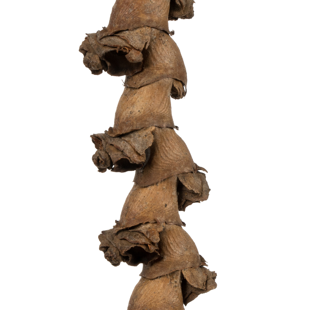 32-36" Natural Ladder Branches - 7/Pk