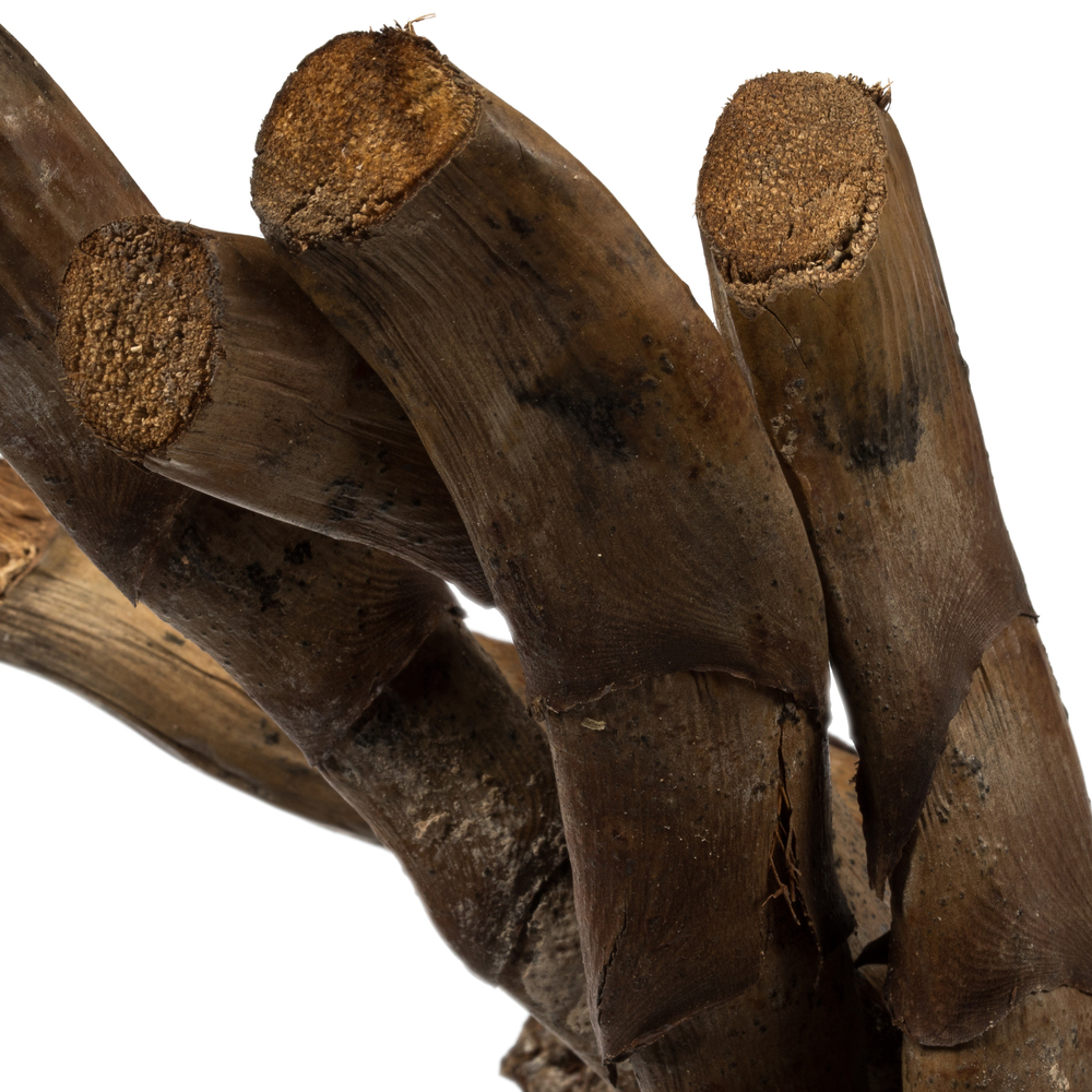 36-44" Natural Curled Ladder Branch 5/Pk