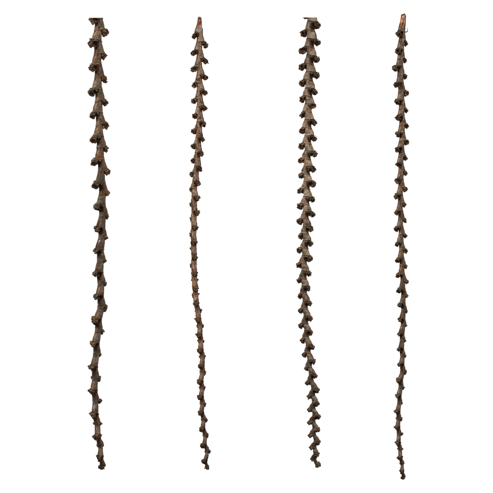 Vickerman Ladder Branches, Dried