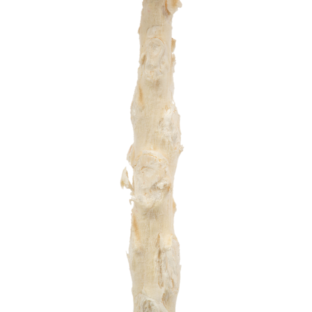 Vickerman 8" Queen Flower Stem, Dried