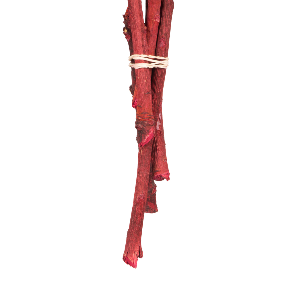 Vickerman Rosette Compacta Stem, Dried 7/Bu