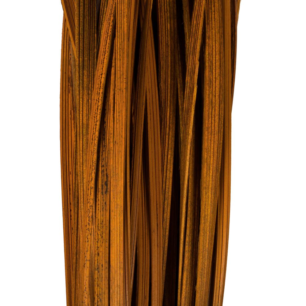 Vickerman 28" Splinter Grass, 11oz Dried