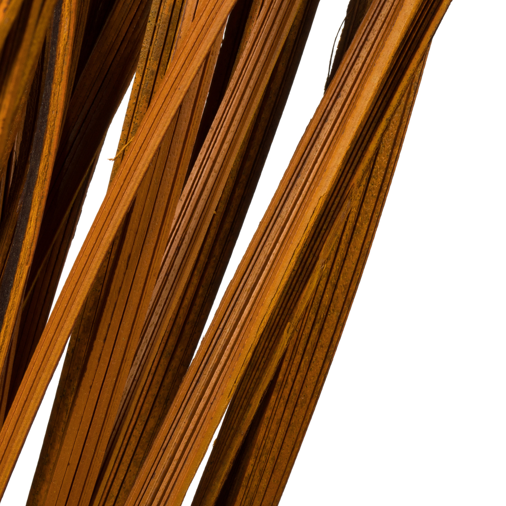 Vickerman 28" Splinter Grass, 11oz Dried