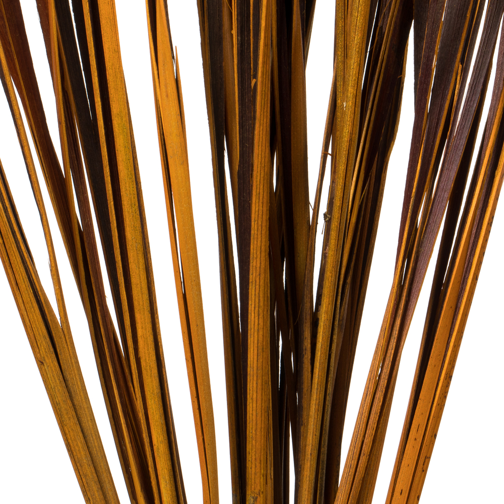 Vickerman 28" Splinter Grass, 11oz Dried