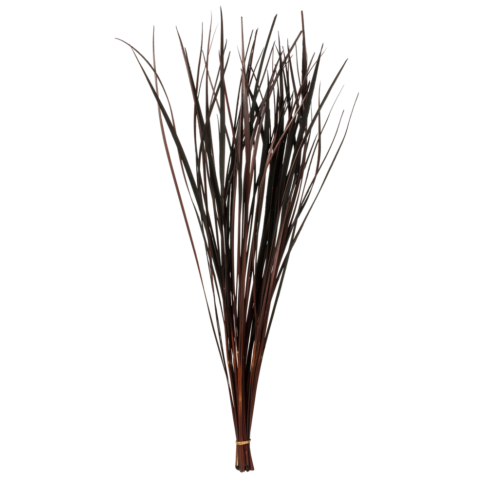 Vickerman 28" Splinter Grass, 11oz Dried