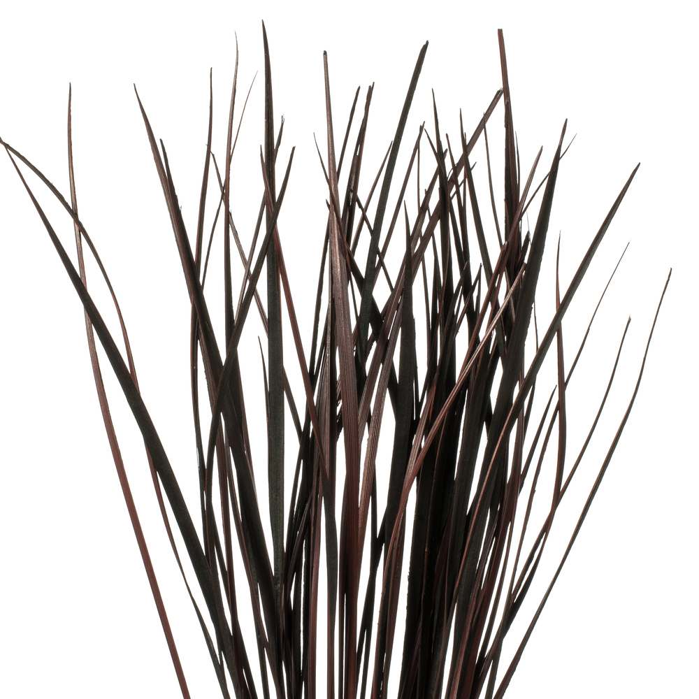 Vickerman 28" Splinter Grass, 11oz Dried