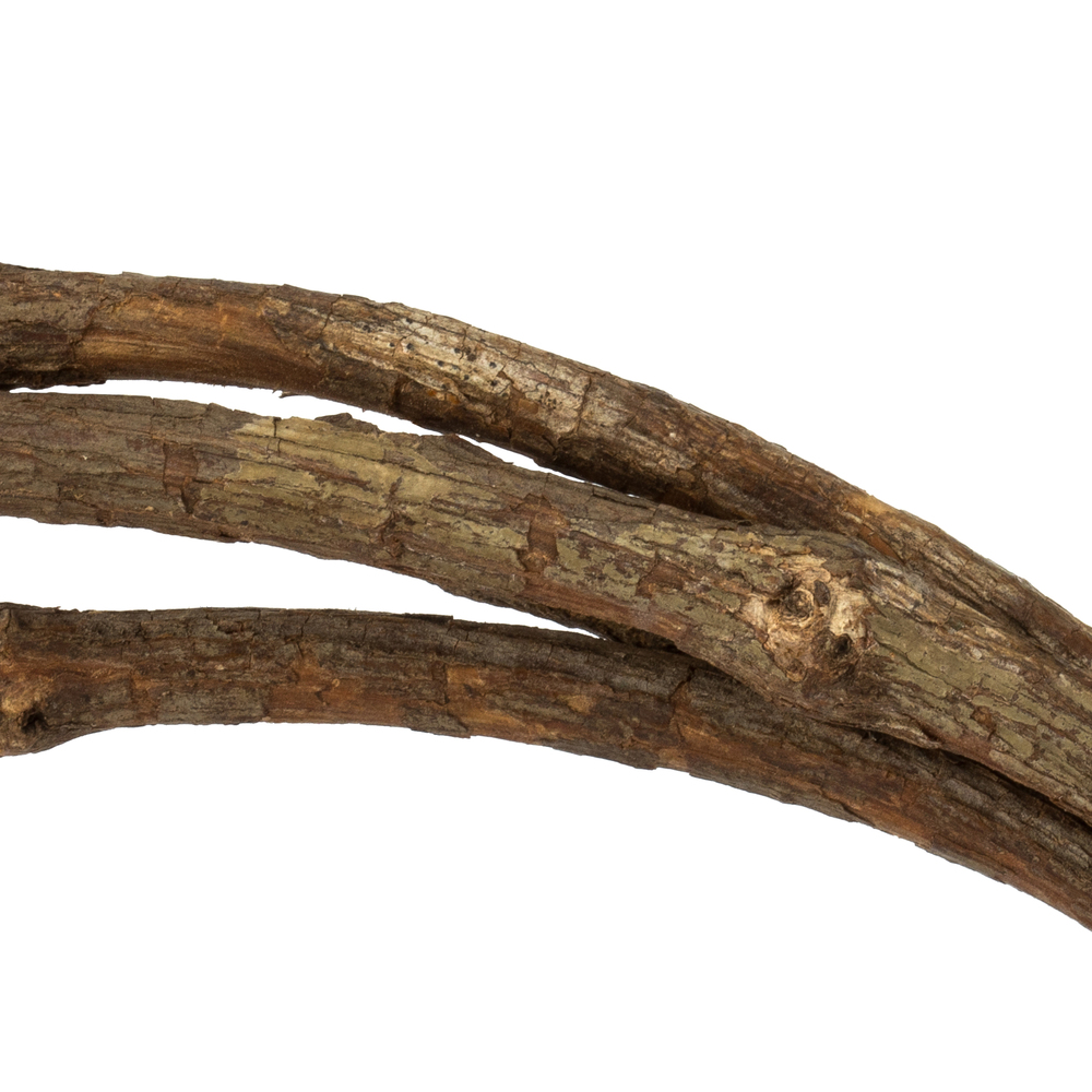 Vickerman 95-100" Tranca Vine Coils