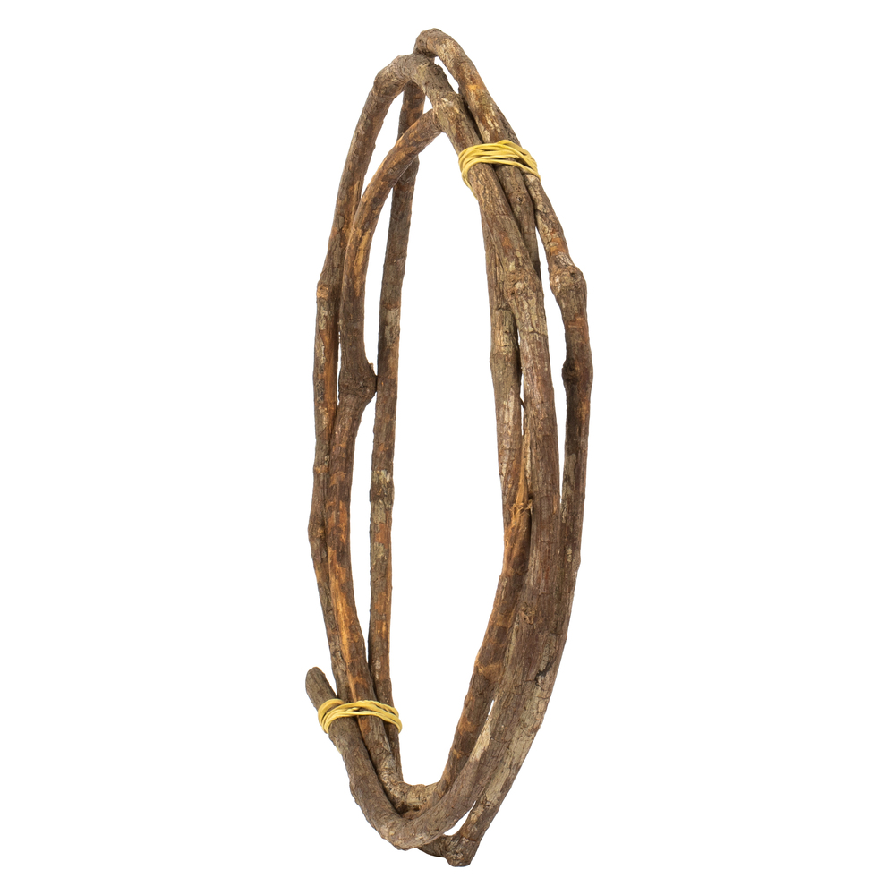 Vickerman 95-100" Tranca Vine Coils