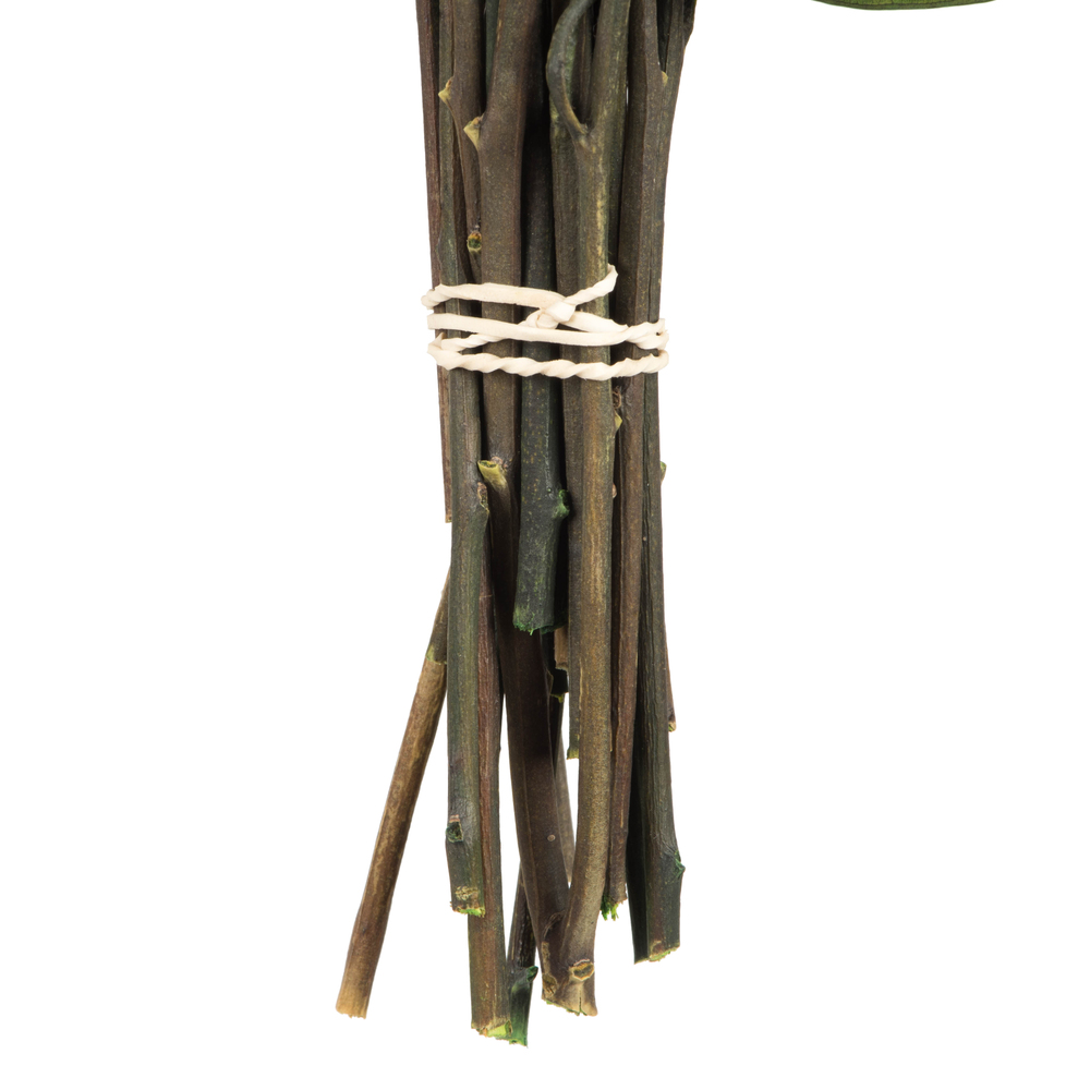 18" Green Willow Eucalyptus 5oz Bundle