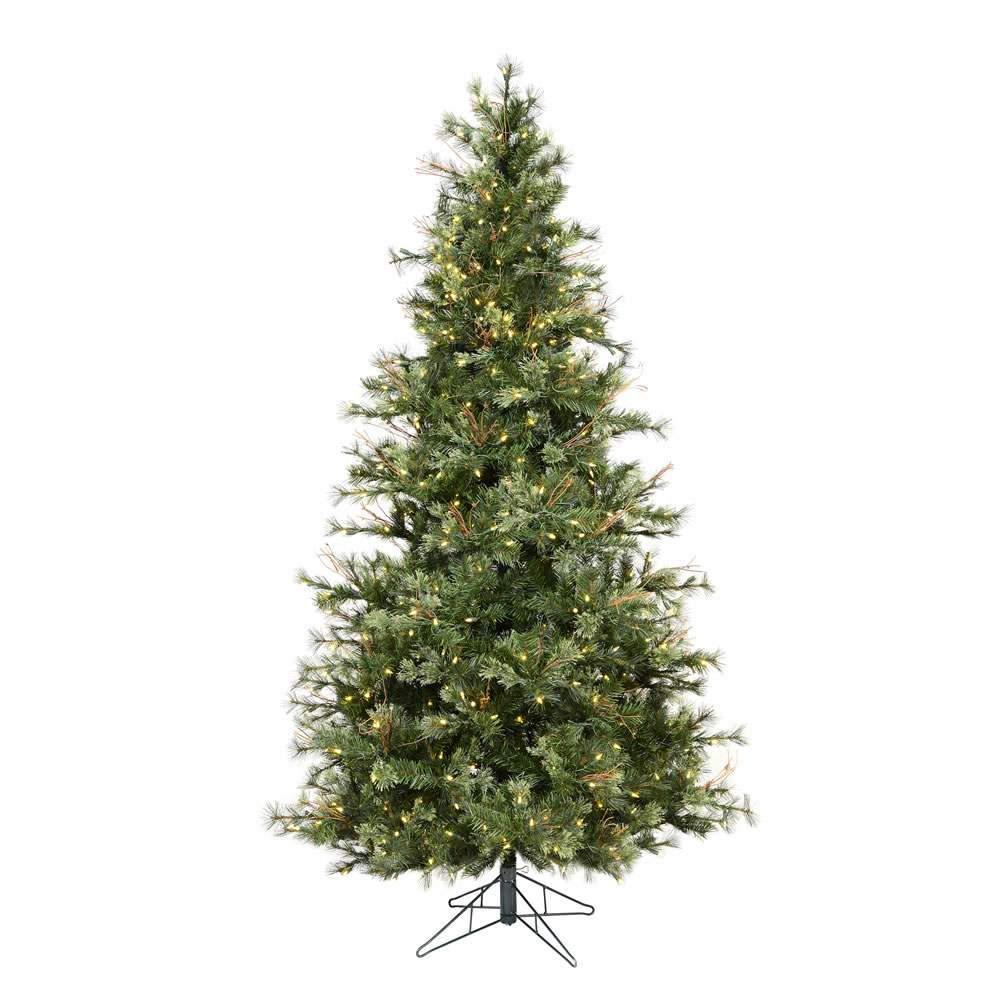 Slim Trees