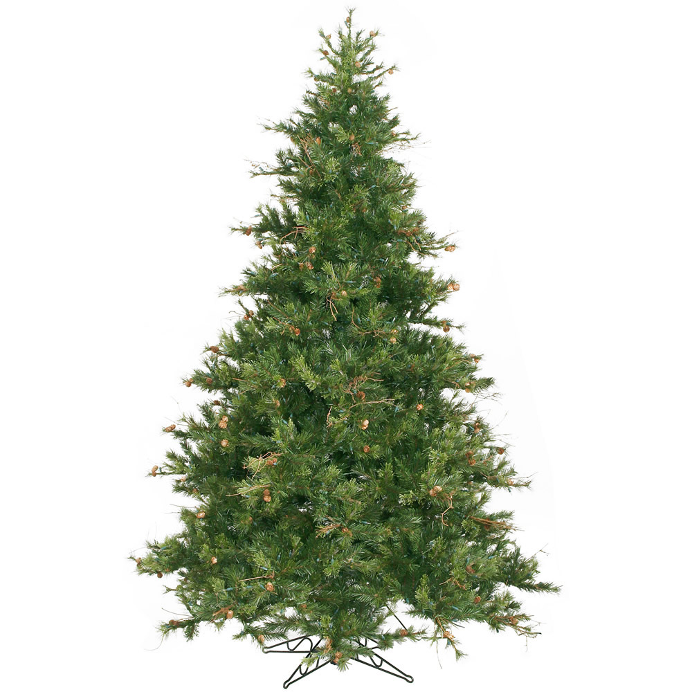 Full Trees