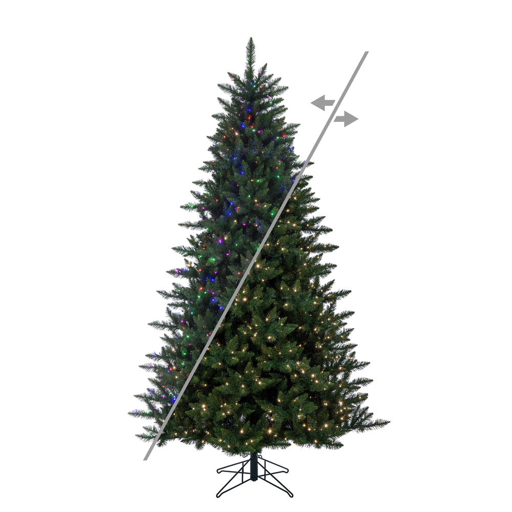 Full Trees