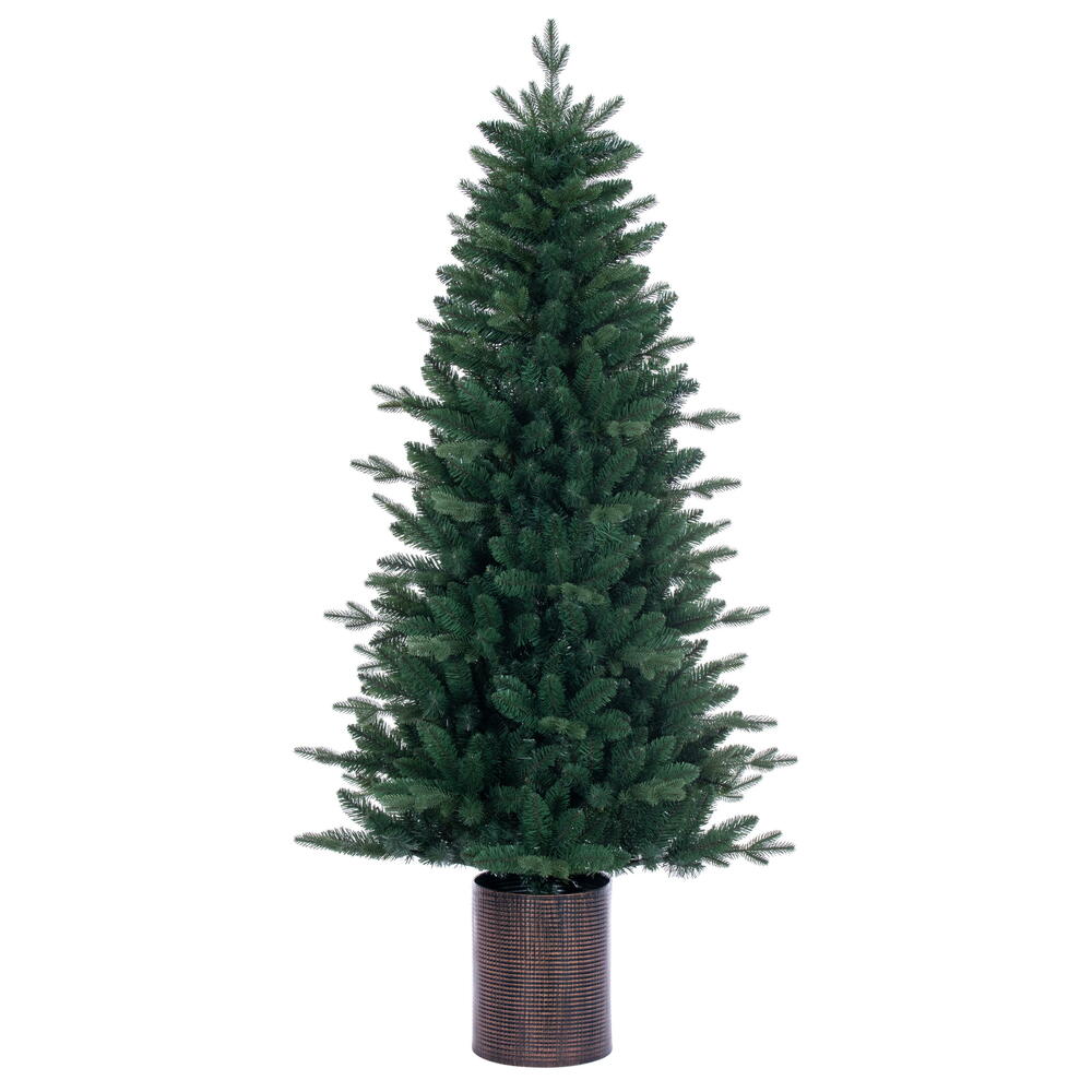 Green Potted Trees