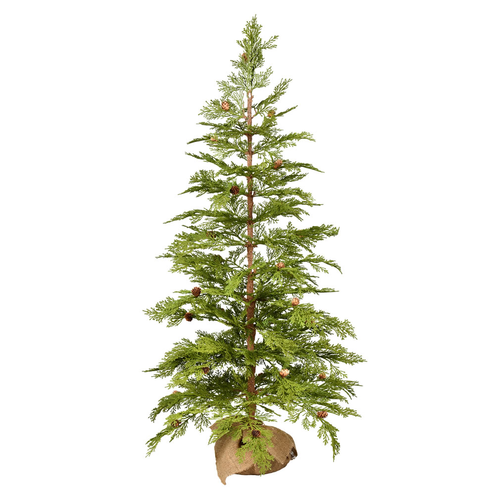 Trees