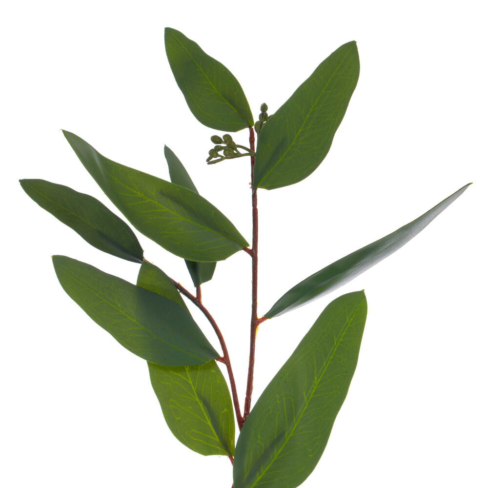 Vickerman Artificial Green Seeded Willow Eucalyptus Collection