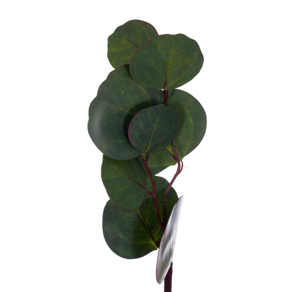 Vickerman Artificial Green Silver Dollar Populus Eucalyptus Collection