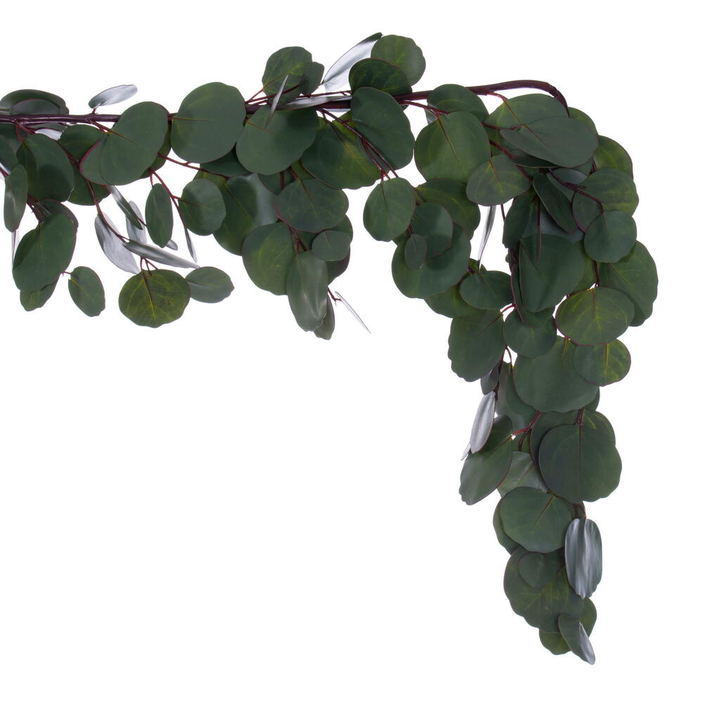 Vickerman Artificial Green Silver Dollar Populus Eucalyptus Collection