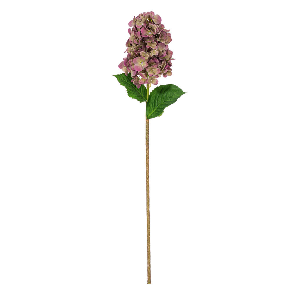 34" Cone Hydrangea Sprays