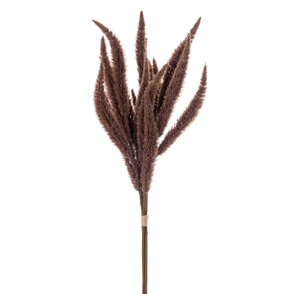Foxtail Bundles
