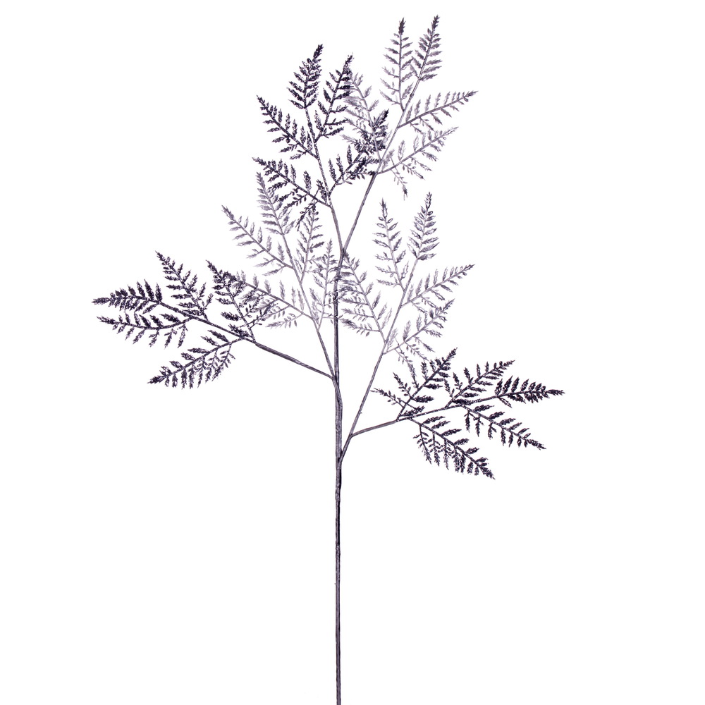 Fern Sprays
